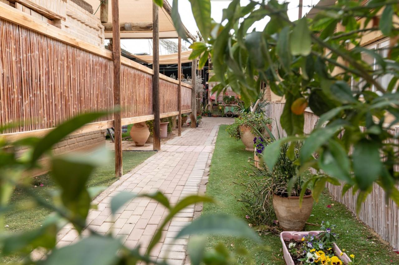 Desert Routes Inn Shvilim Ba Midbar Hazeva ภายนอก รูปภาพ